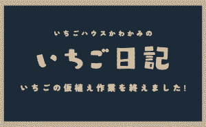 いちご日記#2タイトル