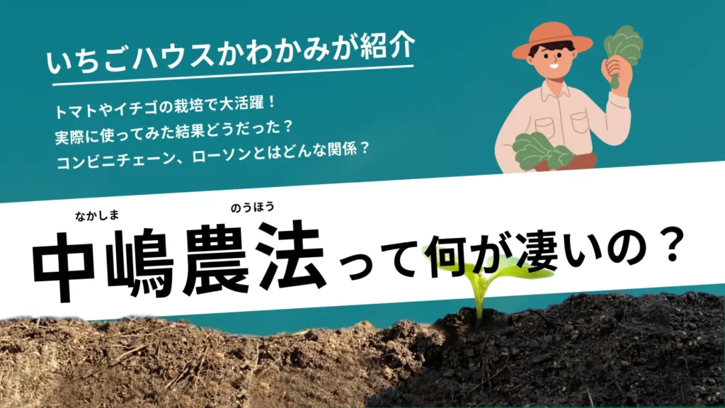 中嶋農法って何がすごいの？いちごハウスかわかみが解説