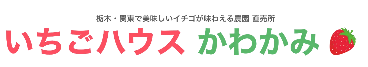 栃木・関東で美味しいイチゴが味わえる農園 直売所【いちごハウスかわかみ】