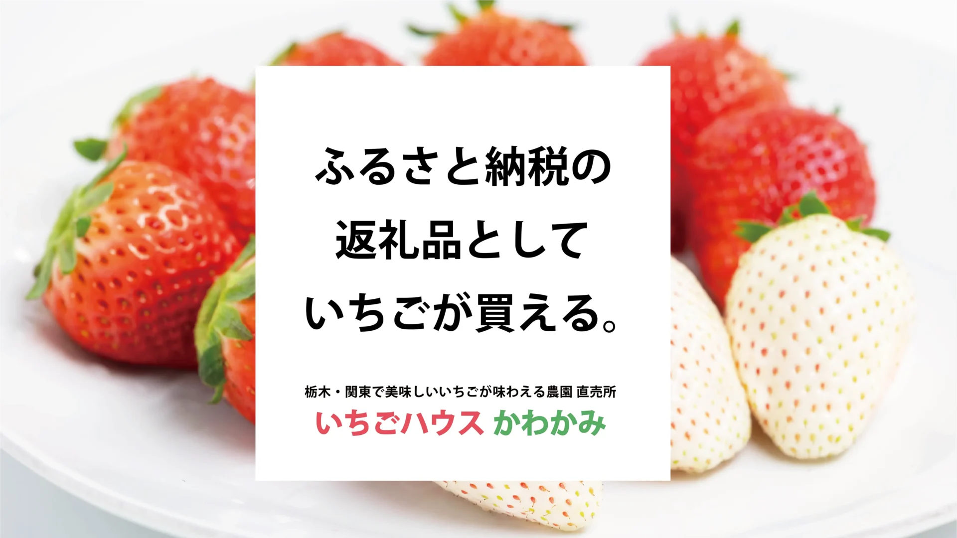 お知らせ｜ふるさと納税の返礼品におすすめ！高級いちごも「さとふる」で購入できるようになりました