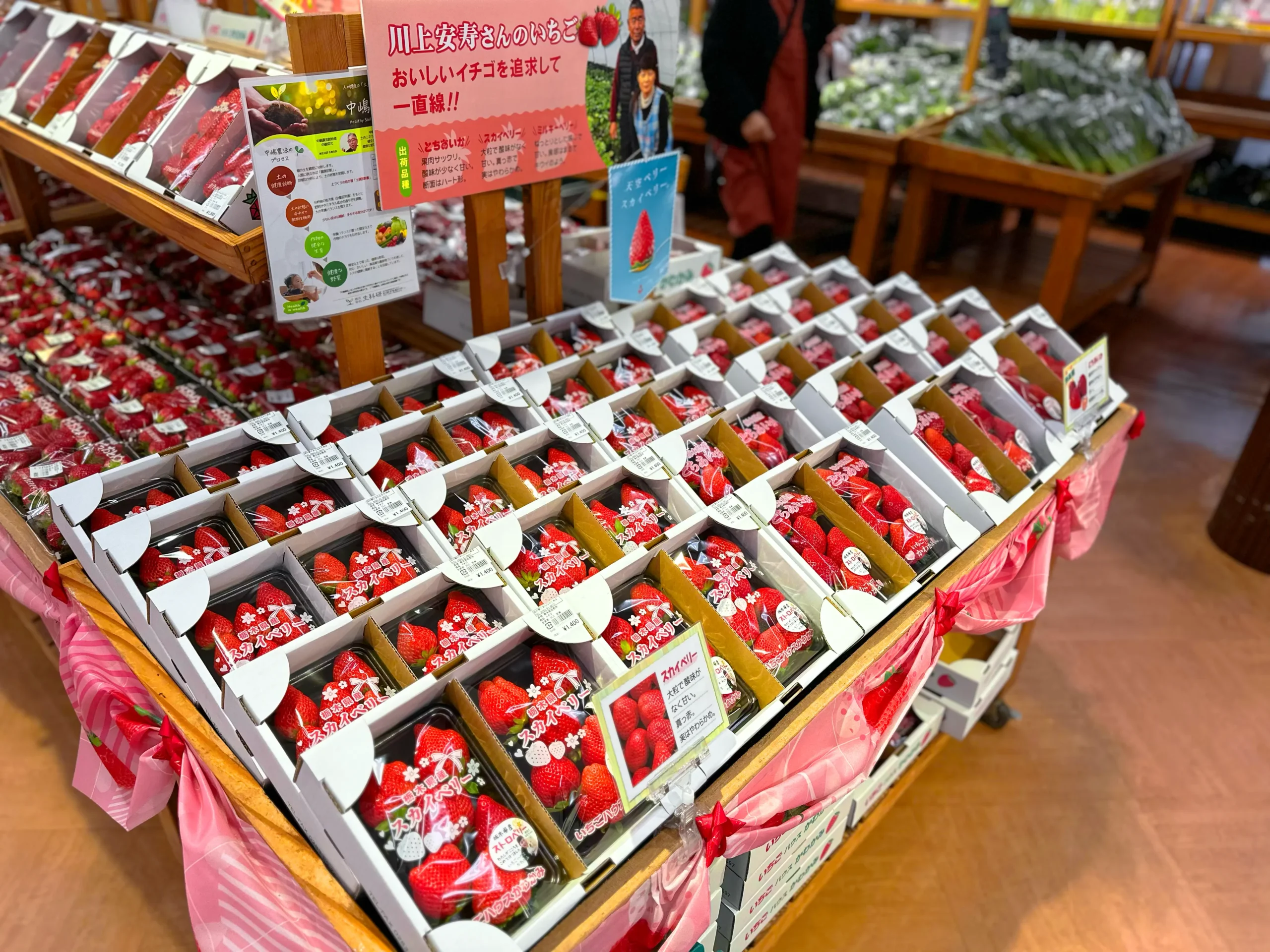 道の駅で販売されているスカイベリー
